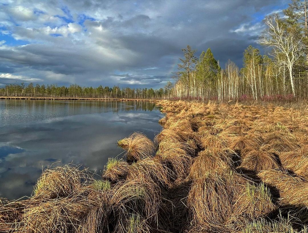 Баня после замены коленного сустава